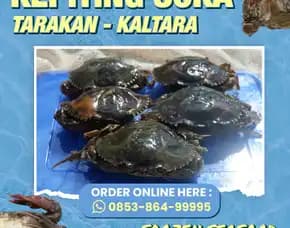 Fresh, Jual Daging Kepiting Kaleng Kabupaten Kota Baru Pulau Laut Timur