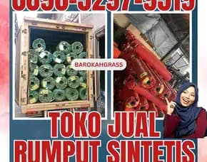 0896-5297-9519 (Bu Diana), Agen Rumput Sintetis Medan Siempat Nempu