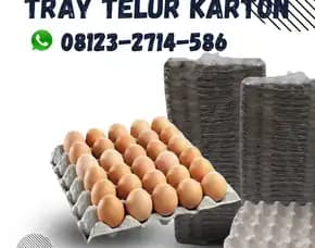 Jual Tempat Telur (Trey Telur) Kirim Ke Pringgasela Lombok Timur (24)
