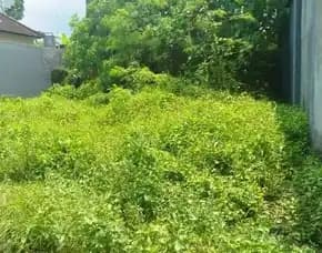 Dijual 1 Are, Jl. Paang Luwih Trenggana Penatih Denpasar Timur