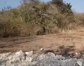Dijual 9,8 Are, Jl. Dukuh Sari Iv Belakang Poltek Pariwisata Kampial Benoa Kuta Selatan