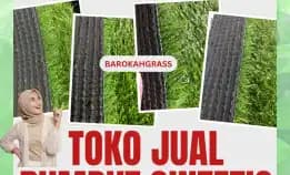0896-5297-9519 (Bu Diana), Tempat Jual Rumput Sintetis Bengkulu Teluk Segara