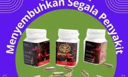Serbuk Ajaib - 0856-4028-7456 Jual Obat Herbal Asam Lambung Sinshe Zin Semarang Pt Dewa Obat