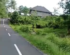 Dijual 50,1 Are, Ds. Tanguntiti Br. Pondok Mekar Selemadeg Timur Tabanan