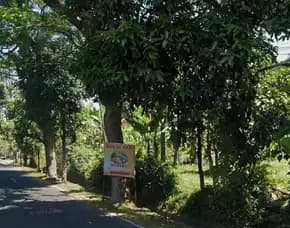 Dijual 10 Are, Jl. Mekarsari Baturiti Bedugul Tabanan