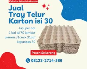 Harga Terbaik - Egg Tray (Tray Telur) Kirim Ke Kilo Dompu (28)
