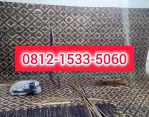 Jual Plafon Anyaman Bambu Pulang Pisau 08i2-1533-5060