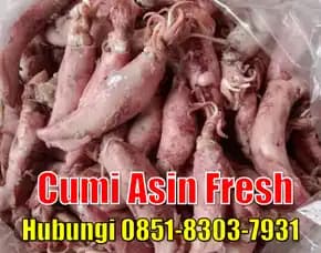 Fresh Segar, Jual Cumi Asin Baby Cumi Banten