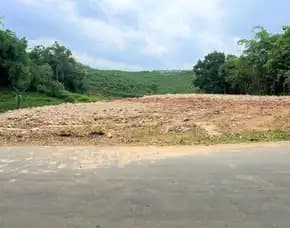 Tanah Strategis Buka Usaha 1685m2 Mojogedang Karanganyar