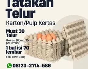 Pabrik Papan Telur (Tray Telur) Kirim Ke Kopang Lombok Tengah (9)