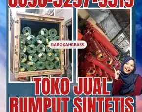 0896-5297-9519 (Bu Diana), Agen Rumput Sintetis Lampung Palas