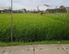 Dijual 11,26 Are, Jl. Tukad Balian Gg. Bule Sidakarya Renon Denpasar