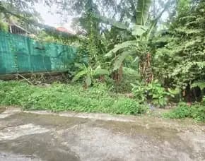 Dijual 1 Are, Jl. Tegal Cupek Bumbak Kerobokan Kuta Utara