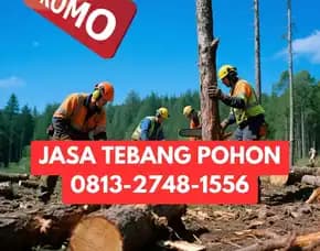Jasa Tebang Pohon Semin