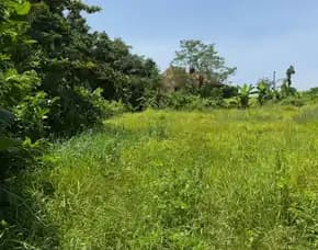 Dijual 1,37 Are, Jl. Pantai Nyanyi Gg. Beji Beraban Kediri Tabanan