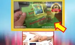 Obat Untuk Kolesterol Tinggi Alami Di Kota Palu