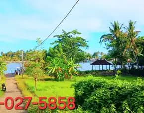 Dijual Tanah 25 Are Dkt Muara Pantai Pengambengan Negara Jembrana