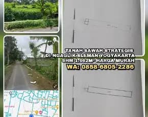 Tanah Sawah Strategis Di Ngaglik Sleman Yogyakarta.Shm 1.662m² Harga Murah.Wa: 0858-6805-2286>>