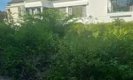 Dijual 10 Are, Jl. Anggrek Pura Batu Kukus Ungasan Kuta Selatan