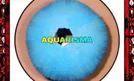 1 Pcs Cangkang Bulu Babi Bigs Blue Echinus Melo Echinoidea Sea Urchins Grade A+