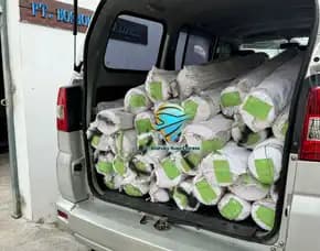 Jasa Import Rumput Sintetis