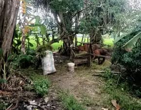 Dijual 1,5 Are, Jl. Sentra Raya Kaba Kaba Kerkeran Kediri Tabanan