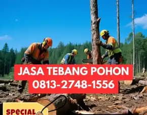 Jasa Tebang Pohon Moyudan