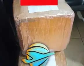 Jasa Import Phone Case Dari Jepang Door To Door Indonesia