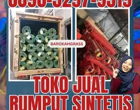 0896-5297-9519 (Bu Diana), Harga Rumput Sintetis Aceh Gayo Lues Blang Pegayon