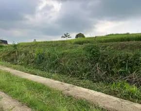 Tanah Subur 1000m 300 Juta Karangpandan