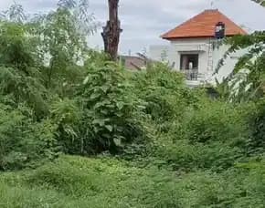 Dijua 33,52 Are, Jl. Sanak Dalem Gg. Titi Batu Bypass Ngurah Rai Sanur Kaja Denpasar