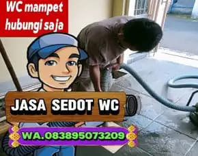 Purwokerto Sedot Wc