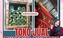 0896-5297-9519 (Bu Diana), Penjual Rumput Sintetis Palu Toili