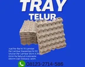Khusus Peternak - Tray Telur Karton (Tray Telur) Kirim Ke Unter Iwes Sumbawa (17)