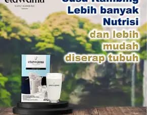 Jual Susu Kambing Murni Terdekat Tuban,Murah & Bpom, Pt. Etsa Bregas Makmur