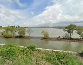 Jual Tanah Sangat Luas Cocok Untuk Industri Di Wonorejo Kendal
