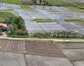 Dijual 9 Are, Jl. Tibu Biyu Kerambitan Selemadeg Tabanan
