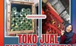 0896-5297-9519 (Bu Diana), Penjual Rumput Sintetis Aceh Sabang Sukajaya