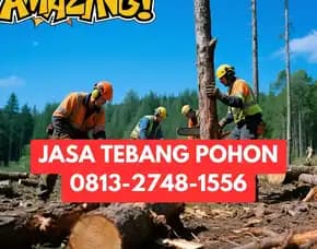 Jasa Tebang Pohon Mergangsan