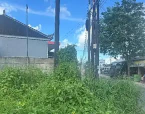 Dijual 49,9 Are, Jl. Raya Munggu Kapal Raya Tangeb Cepaka Kediri Tabanan