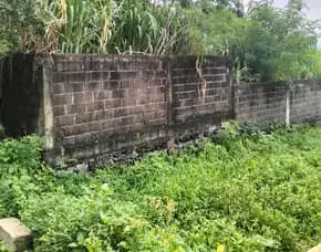 Dijual 10,5 Are, Jl. Batang Kangin Gg. Mangga Tibubeneng Canggu Kuta Utara