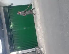 Tukang.Servise,Rolling Door Ciputat 083848610744