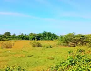 Dijual Tanah