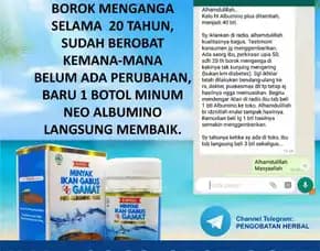 0812-1567-8455 Grosir Neo Albumino Plus Di Sulawesi Selatan