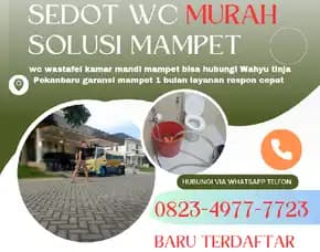 Sedot Wc Di Pekanbaru