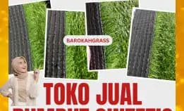 0896-5297-9519 (Bu Diana), Agen Rumput Sintetis Gorontalo Kab. Bone Bolango