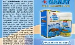 0812-1567-8455 Grosir Neo Albumino Plus Di Maluku