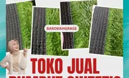 0896-5297-9519 (Bu Diana), Jual Rumput Sintetis Bengkulu Selebar