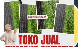0896-5297-9519 (Bu Diana), Penjual Rumput Sintetis Pontianak Pemangkat