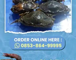 Fresh, Jual Daging Kepiting Kaleng Kabupaten Tanah Laut Kintap